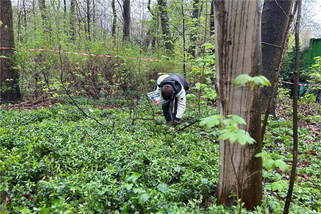Ein Junge, der bunte Eier im Wald versteckt.