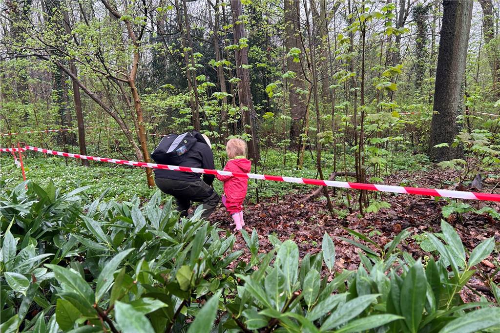 Menschen, die bunte Eier im Wald suchen.