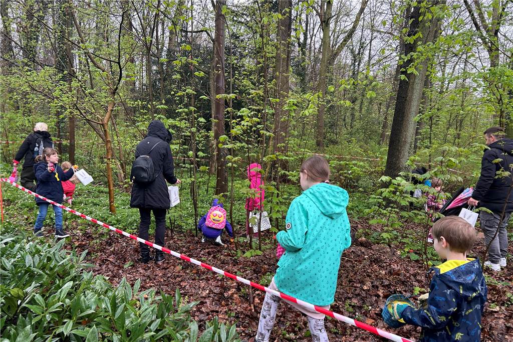 Menschen, die Ostereier im Wald suchen.