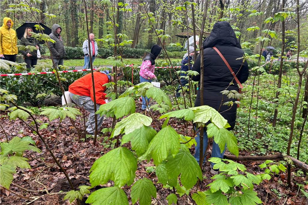 Menschen, die Ostereier im Wald suchen.