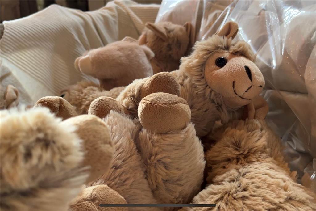In Castrop-Rauxel gibt es Alpakas zum mit nach Hause nehmen Alpaka-Kuscheltiere bei Vivamos Alpaka