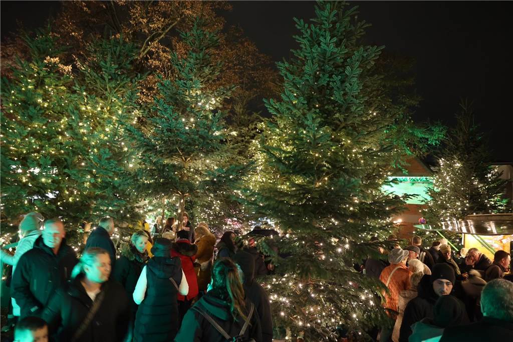 Menschengruppe im Glitzerwald.
