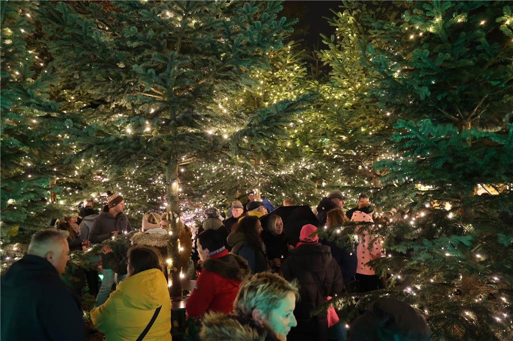 Menschengruppe im Glitzerwald.