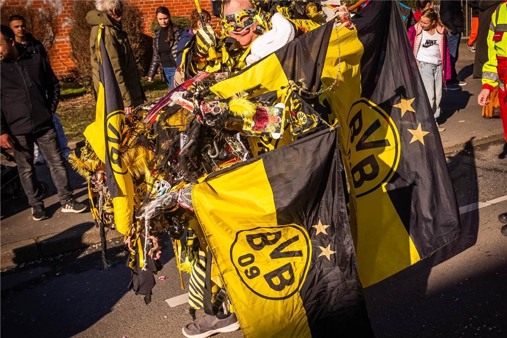 Viele Närrinnen und Narren setzten kreative Ideen bei ihren Karnevalskostümen um.