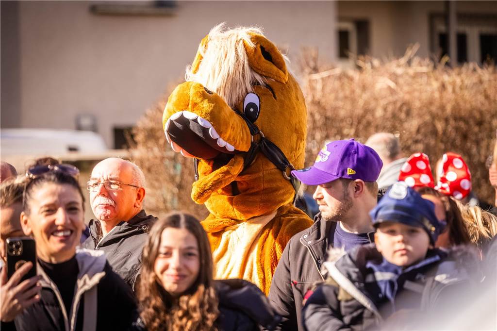 Viele Närrinnen und Narren setzten kreative Ideen bei ihren Karnevalskostümen um.