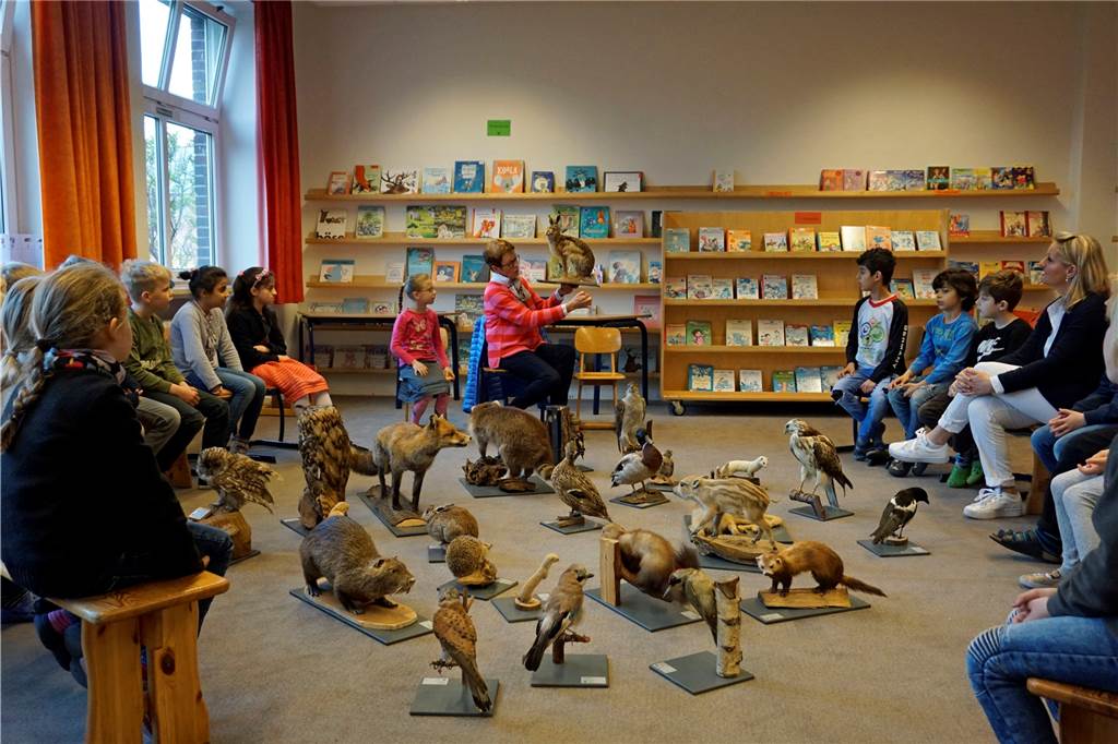 Fuchs und Eule im Klassenzimmer: Rollende Waldschule bringt Wildtiere in die Marienschule Viele Tierpräparate hatte Maria Weckendorf mitgebracht.