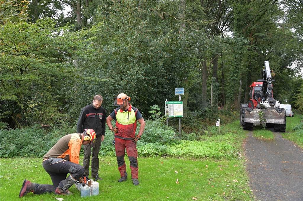 Zehn Euro für jeden? Förster aus Cappenberg hat Idee zur Rettung des Waldes Viele trockene Buchen musste Elmar Berks im September 2020 im Cappenberger Wald fällen. Das diente der Verkehrssicherung.