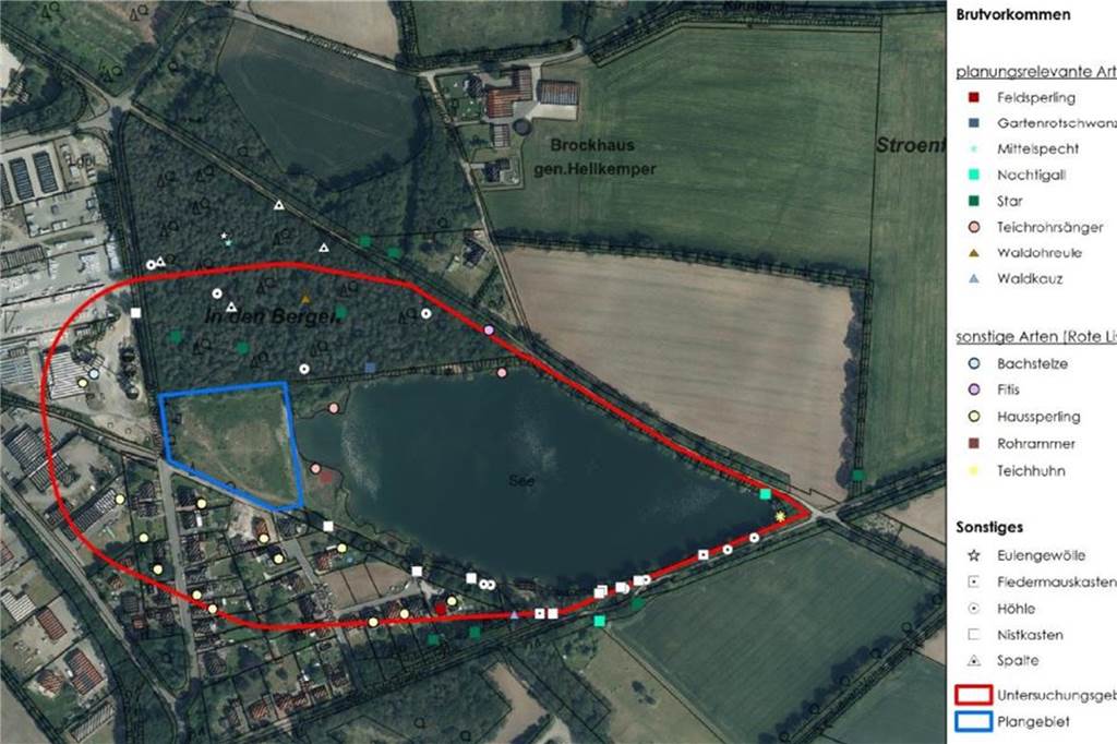 Bebauungsplan „Seeblick“: Wohnen am See für Jahre auf Eis gelegt Viele Vogelarten haben in unmittelbarer Nähe zum Plangebiet ihr Revier oder brüten dort.