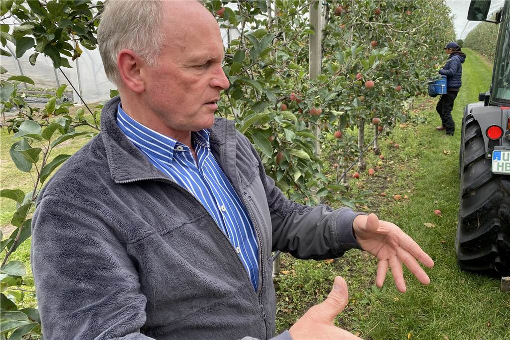 Apfelernte in Bork: So groß ist der Aufwand für leckere Äpfel Vieles müssen Hubert Bleckmann und die Mitarbeiter beachten, um Äpfel in bester Qualität anbieten zu können - auch nach sehr trockenen Sommern.