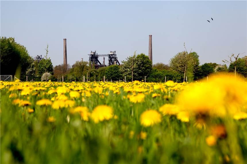 Landschaftspark Duisburg-Nord: Deshalb lohnt sich ein Ausflug Vielfältig, anders, überraschend: Der Landschaftspark Duisburg-Nord.
