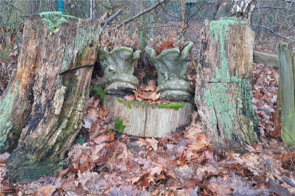 Vielleicht hat Schenkewald seine Wanderschuhe ausgezogen?