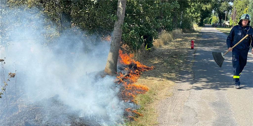 Brandstiftung? Vier Brände an einem Nachmittag im selben Stadtteil (mit Video) Vier Flächenbrände gab es allein am Donnerstagnachmittag in Altendorf-Ulfkotte. Die Feuerwehr bekämpfte sie unter anderem mit sogenannten Feuerpatschen.