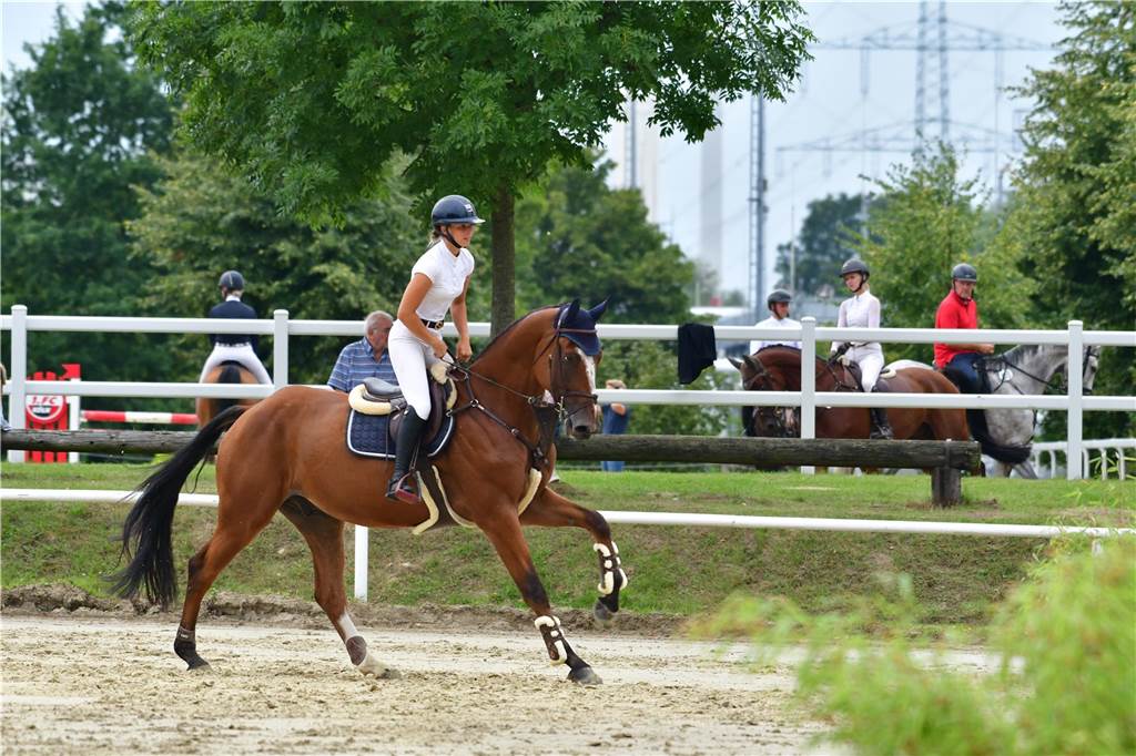 Vier Tage lang fand das Reitturnier des RFV St. Georg Werne in Ehringhausen statt.