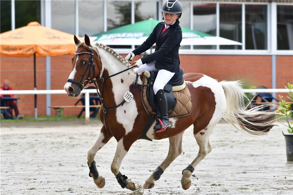 Vier Tage lang fand das Reitturnier des RFV St. Georg Werne in Ehringhausen statt.