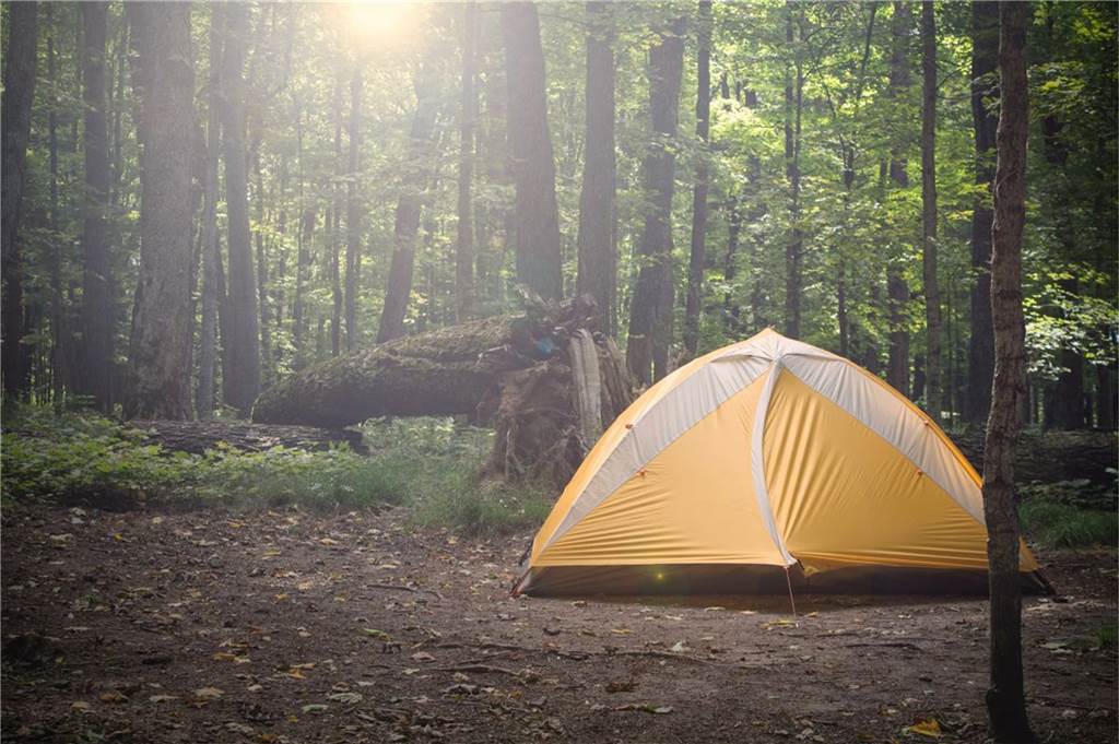 Außergewöhnliche Campingplätze in NRW: Das gibt’s nicht überall Vogelgezwitscher und Waldduft - besser kann ein Morgen nicht starten.