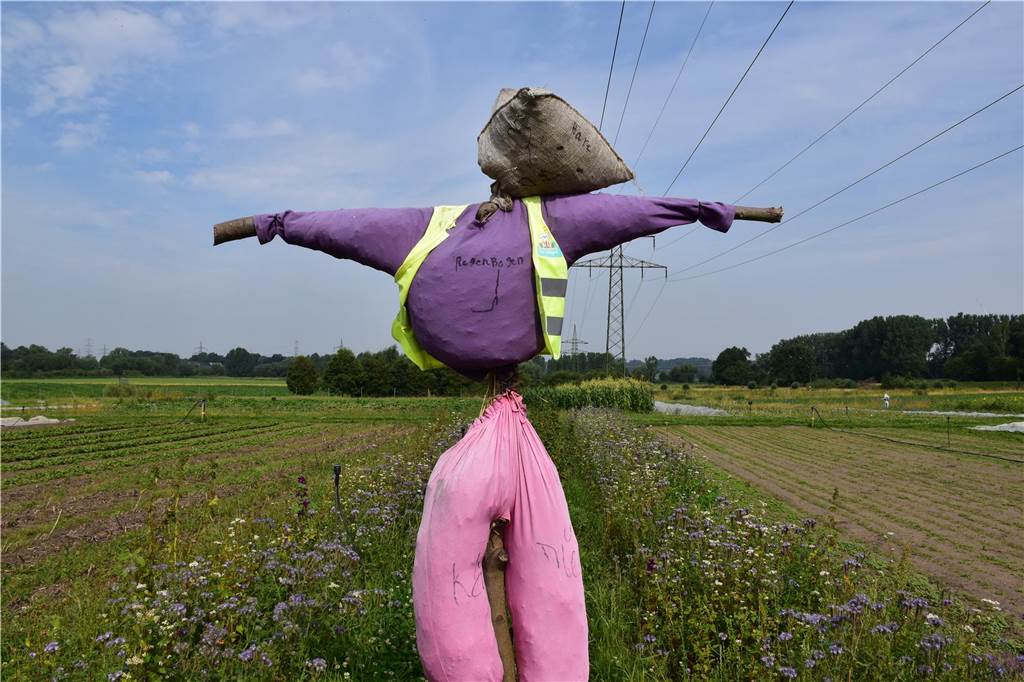Eindrücke vom Gelände der solidarischen Landwirtschaft in Waltrop.