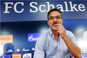 Voller Vorfreude auf seine neue Aufgabe: Schalke-Trainer David Wagner.