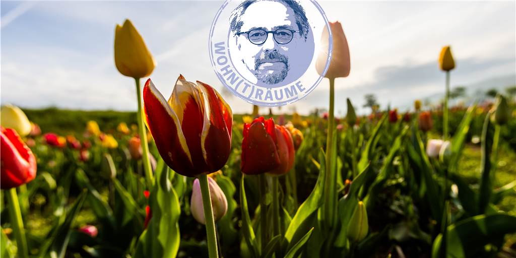 Achtung, Leute: Aus den Eisheiligen könnten Schweißheilige werden Vom 11. bis 15. Mai sind die Eisheiligen. Die sollen in diesem Jahr aber eher Hitze denn Frost bringen. Wichtig für alle Gärtner.