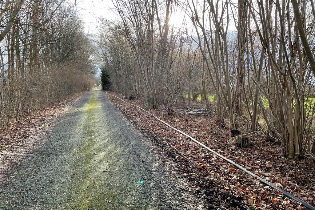 Baustelle am Steinsweg in Oespel beendet: Alter Bergbauschacht ist verfüllt Betonschläuche führen einen Abzweig des Steinswegs entlang.