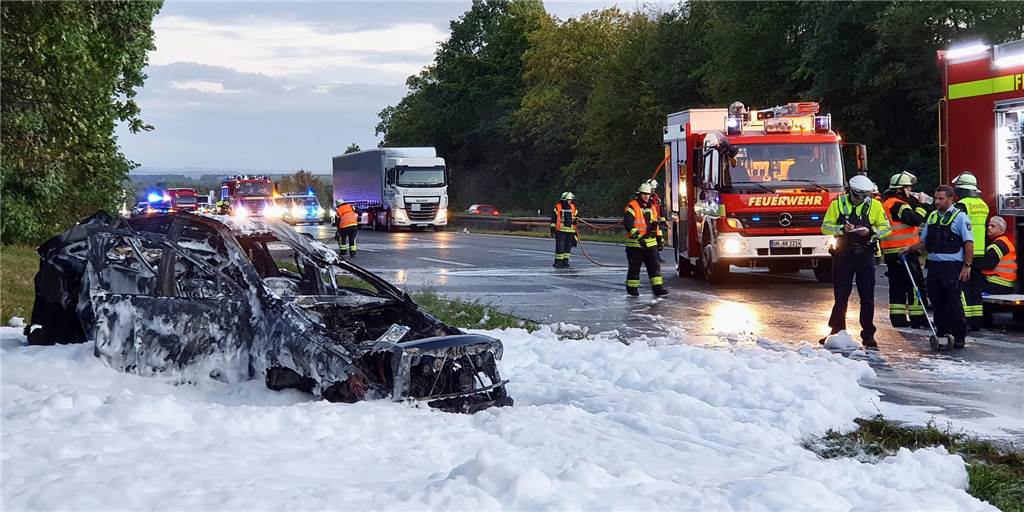 Ausgebranntes Auto: Hund rannte vor den Flammen davon Von dem Fahrzeug blieb nur noch ein ausgebranntes Wrack übrig.