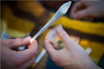 Von den 12- bis 17-jährigen männlichen Jugendlichen hat zuletzt etwa jeder zehnte Cannabis genommen. Im Jahr 2011 war es etwa jeder 16. gewesen. Foto: Arne Immanuel Bänsch