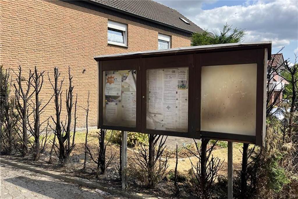 Feuerwehr löscht Heckenbrand in Bork: Hausbewohner: Wir hatten Todesangst Von der einstigen grünen Hecke sind nur noch schwarze Stümpfe übriggeblieben.