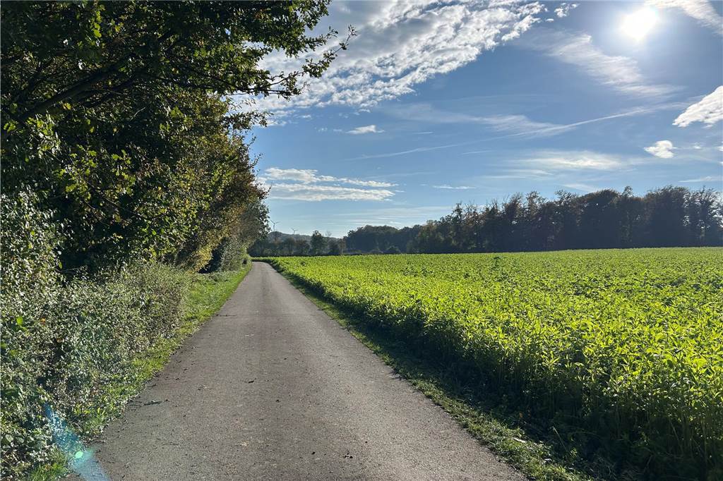 Straße wird zur Sackgasse: Tages-Baustelle entsteht an der Dorhohstraße Die Dorlohstraße nach Süden fotografiert.