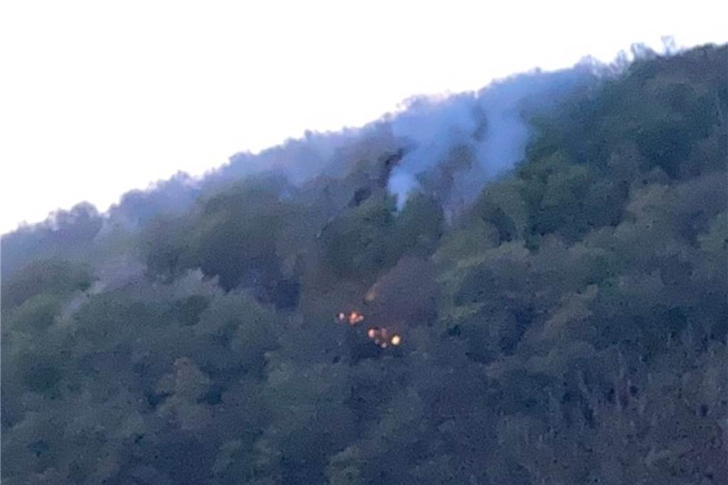 Waldbrand am Ruhrsteilhang: Feuerwehrschläuche liegen noch im Gelände Von der Ruhrbrücke aus war das Feuer im Steilhang zu sehen. Der Zugang war schwierig.