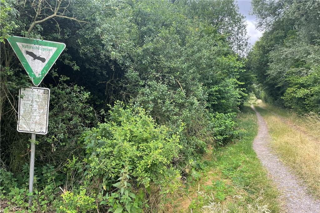 Von der Straße Friedrichshagen geht dieser Weg links ab durchs Grün.