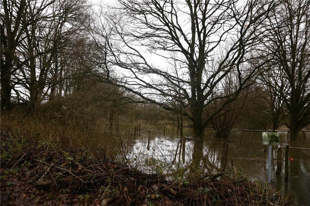 Von einer Wiese in der Nähe der ehemaligen Steag-Fläche in Lünen haben Pferde-Besitzer am 1. Weihnachtsfeiertag ihre Tiere in Sicherheit gebracht werden - eine sehr gute Entscheidung, wie sich zwei Tage später zeigt.