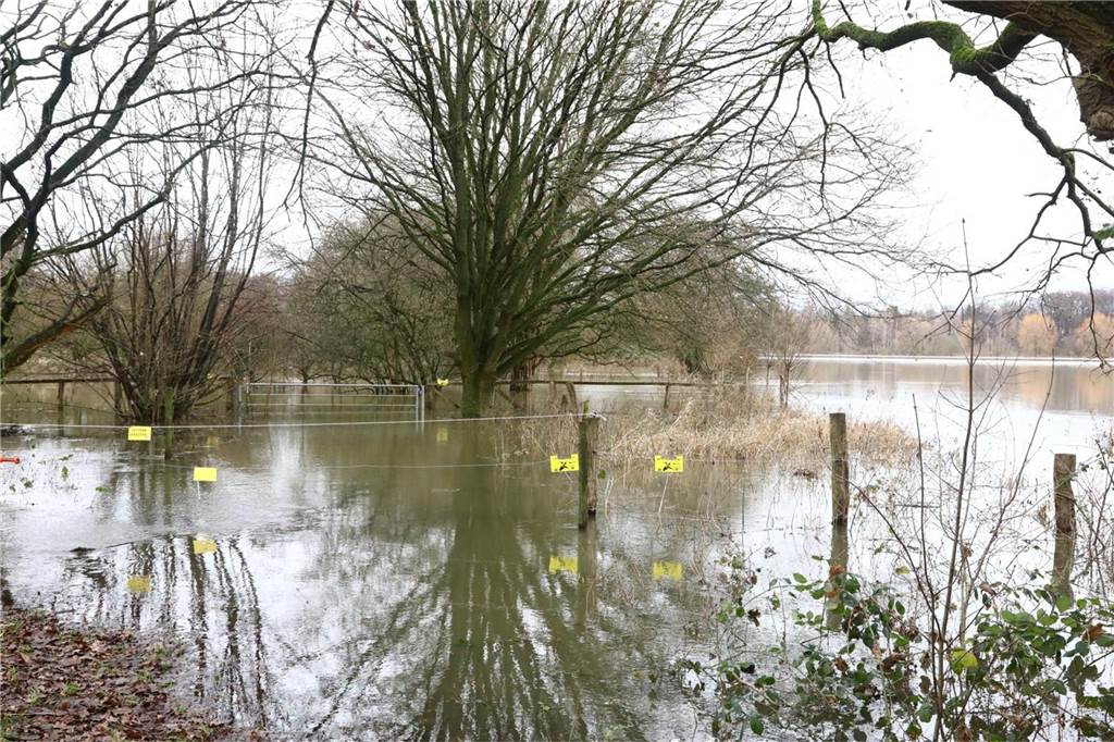 Von einer Wiese in der Nähe der ehemaligen Steag-Fläche in Lünen haben Pferde-Besitzer am 1. Weihnachtsfeiertag ihre Tiere in Sicherheit gebracht werden - eine sehr gute Entscheidung, wie sich zwei Tage später zeigt.