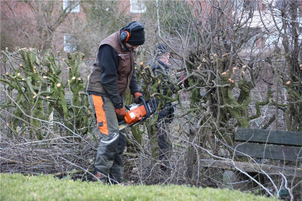 Mehrgenerationen-Projekt vor Baustart: Neubau am Becklohhof beginnt in wenigen Monaten Vor dem Beginn der Vogelschutzzeit am 1. März wurden Hecken geschnitten und die Einfahrtsbereiche am Grundstück am Becklohhof freigeräumt.