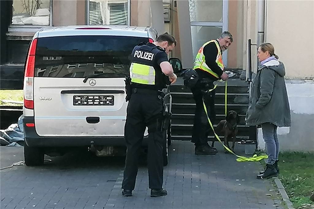 Brutaler Mord in Dortmund: Kripo sucht mit Spürhund nach Indizien Vor dem Eingangsbereich des Tatorts nahm der Polizeihund die Spur nach weiteren Indizien auf.