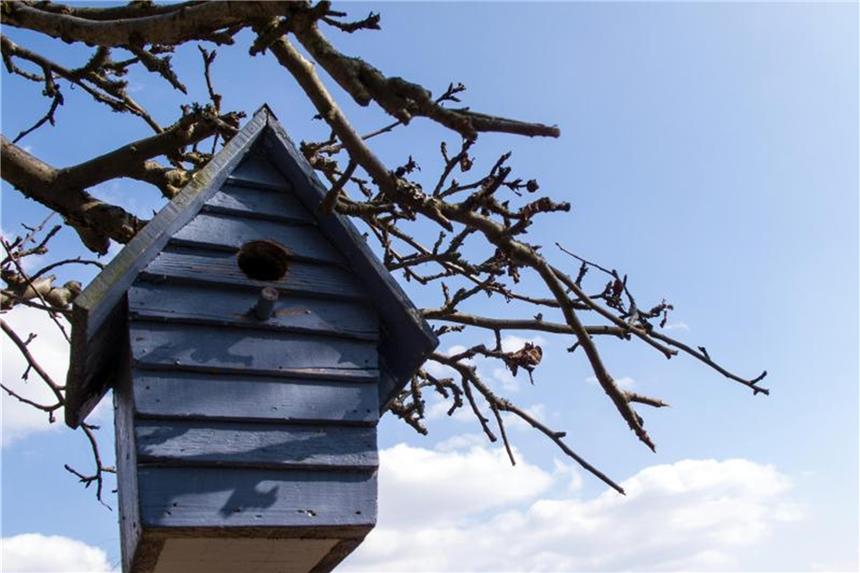 Nistkästen für Vögel jetzt säubern Vor dem Einzug schnell noch durchwischen: Viele Nistkästen bekommen im Frühjahr neue Bewohner. Foto: Andrea Warnecke