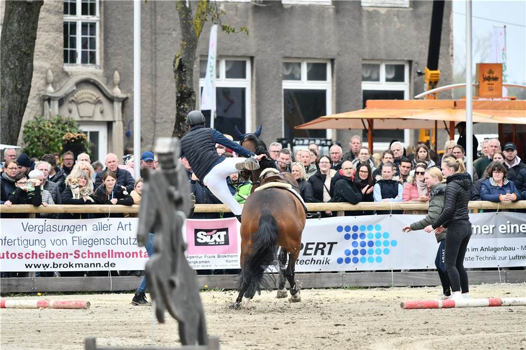 Vor dem Großen Preis fand das beliebte Jump and Drive statt. Bernd Stöver jun. konnte seinen Vorjahressieg nicht verteidigen. Obwohl er äußerst gekonnt von seinem noch galoppierenden Pferd abgesprungen ist.