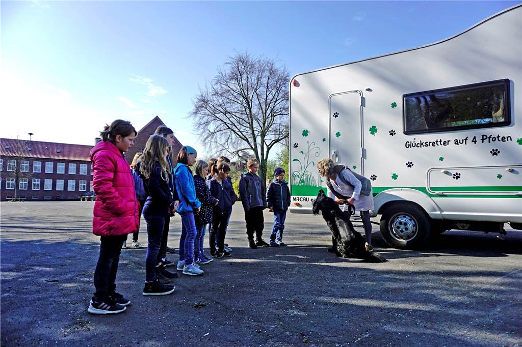 „Ganz schön anstrengend“: Grundschüler schicken Terrier-Hündin Carla durch den Parcours Vor der Praxis lernten die Kinder, wie man einen Hund richtig an die Leine nimmt.