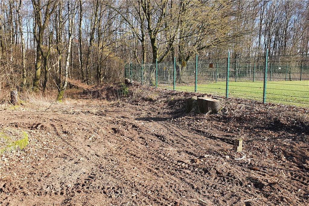 Kahlschlag in Pöppinghausen: Stromkonzern zunächst selbst überrascht Die Fläche um den Strommast bei Pöppinghausen sieht jetzt kahl aus, es stehen nur noch ein paar Baumstümpfe.