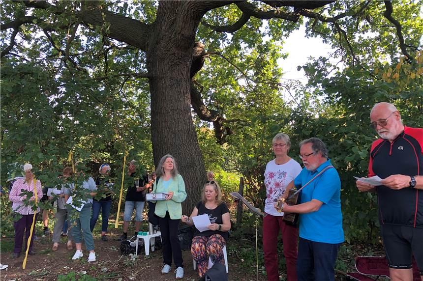Eine neue Variante im Streit um die Alte Eiche in Habinghorst Vor Wochen hatten sich Bürger zu einem Picknick unter der alten Eiche getroffen. Nun gibt es Überlegungen, das Gelände rund um den Baum zu kaufen.
