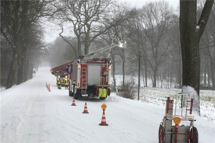 Baum umgestürzt: Feuerwehr muss Fahrbahn auf der B58 in Haltern sperren Währen der Arbeiten blieb eine Fahrspur der B58 zeitweise gesperrt.