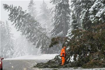 Während Arbeiter bei Torfhaus im Oberharz eine umgestürzte Fichte von der Bundesstraße 4 schaffen, stürzt im Hintergrund ein weiterer Baum um. Foto: Swen Pförtner