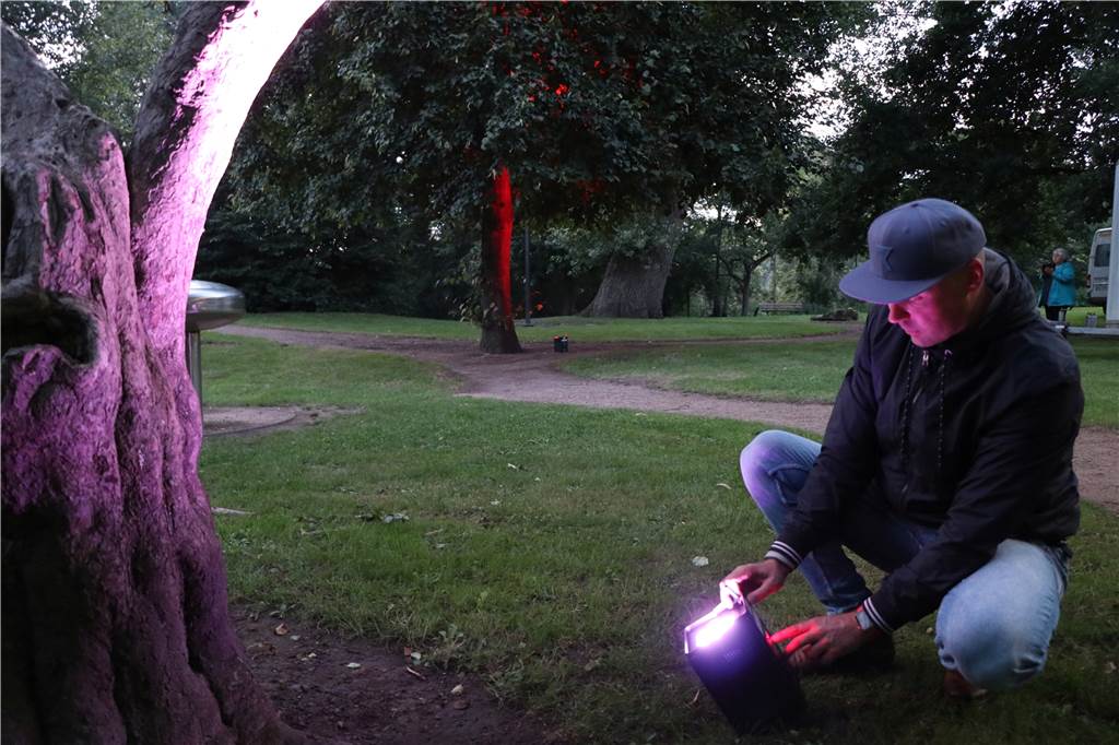 „Butenland“: Bewegender Film über ein Altersheim für Kühe Während das Sonnenlicht langsam schwindet, setzt Sascha Kock die Parkbäume in Szene.
