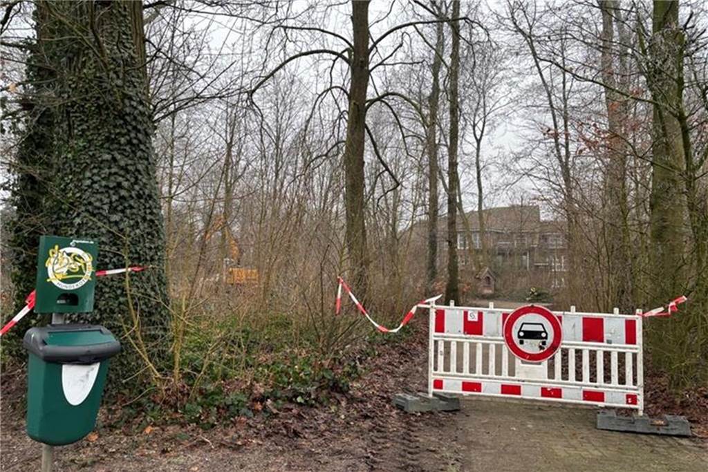 Gefahr auch für Menschen: Neuartiger Pilz befällt Ahornbäume in Südlohn Wald durch Absperrung gesperrt.