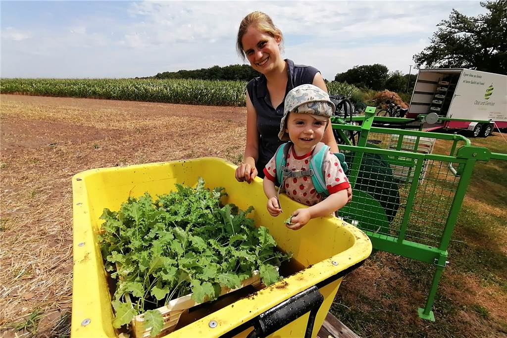 Frisch vom Feld auf den Markt: Gemüsehandel in Dortmund ist Familienprojekt Während Papa die Pflanzmaschine belädt, bleibt Zeit ein wenig im Wasser zu planschen.