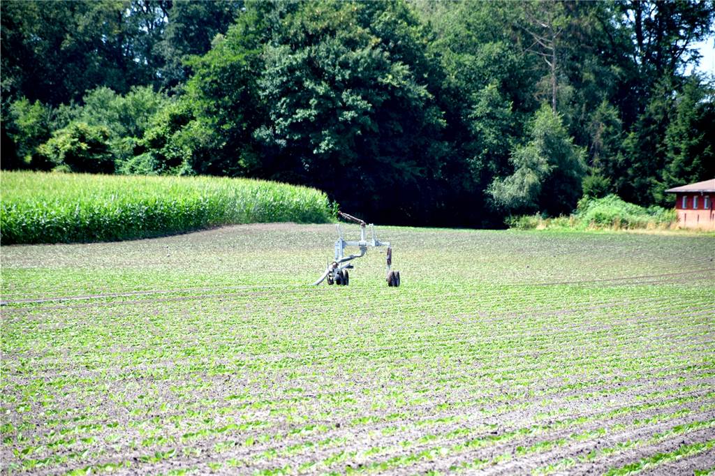 Südlohner Landwirt setzt für Gemüseanbau auf 100 Hektar auf Grundwasser Wagen wie diese fahren weiter über die Äcker der Familie Schulze Wehninck. Auf rund 100 Hektar baut der Betrieb Kartoffeln und Gemüse an. Der Familienbetrieb hat einen Angestellten und – ab August – einen Auszubildenden.