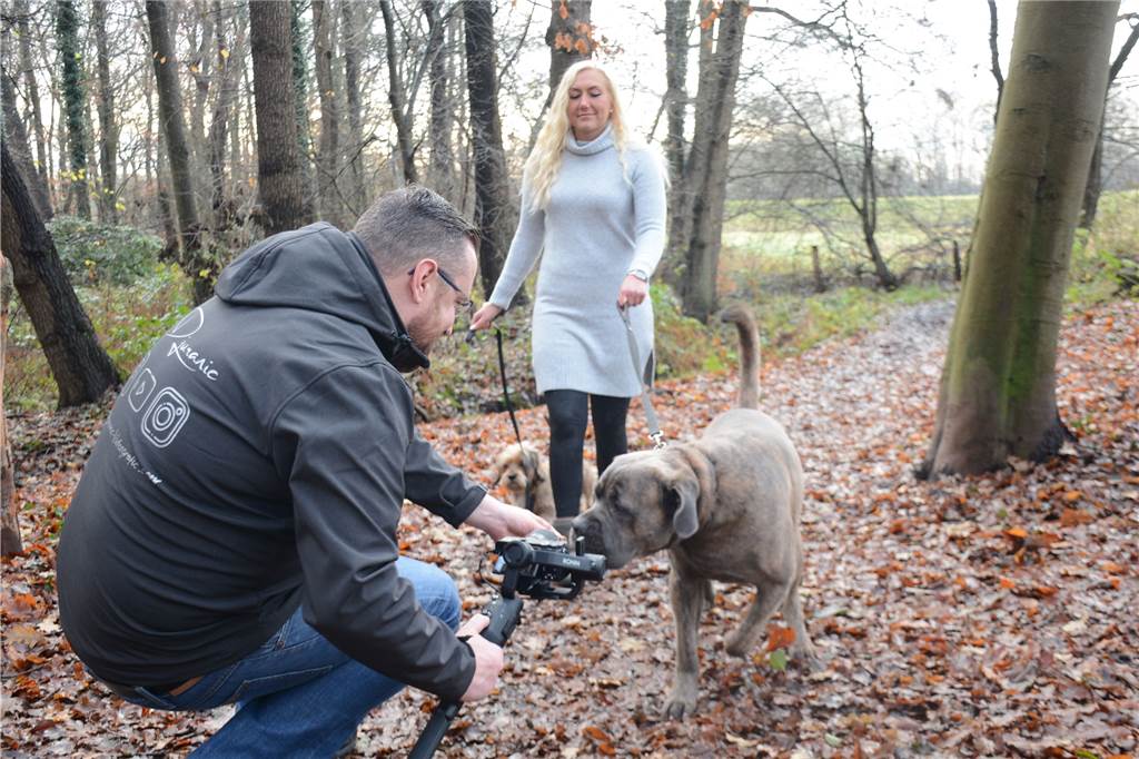 Hunde-Videograf erschafft bewegende Erinnerungen für seine Kunden Waldspaziergang mit Nahaufnahme von den Hunden „Bacon" und „Paul"