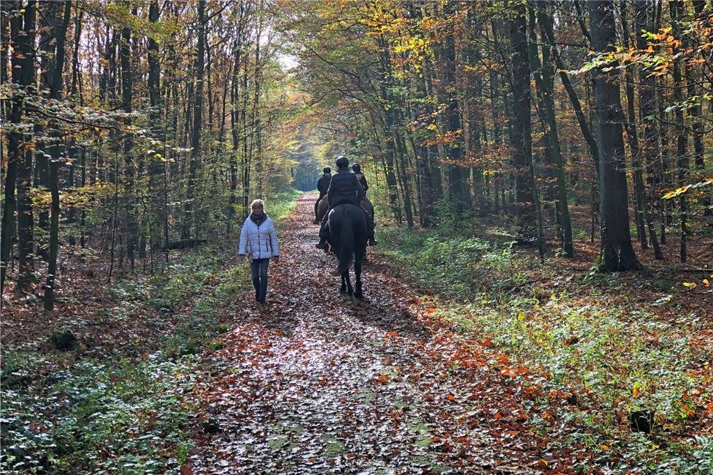 10 Tipps, wie Wanderungen zum Erfolgs-Erlebnis werden Wanderer, Reiter, Radfahrer, Jogger, Hundefreunde treffen sich im Cappenberger Wald.
