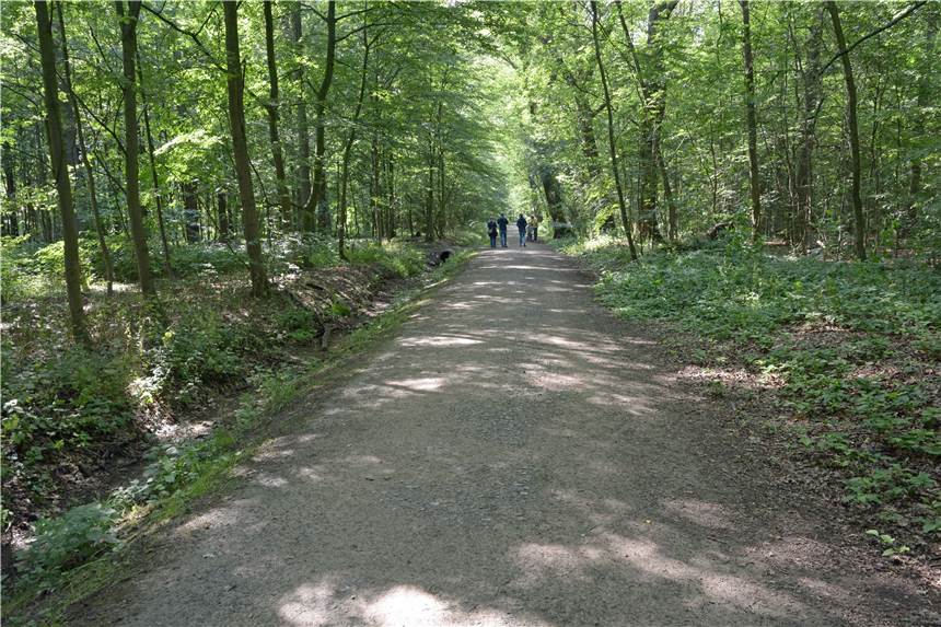 Freizeit-Tipp für den Lockdown: Alle Teile unserer Werner Wanderserie Wandern in Werne - das ist auf vielen neuen Routen möglich. Wir haben sie getestet und stellen sie vor. Inklusive vieler Fotos.