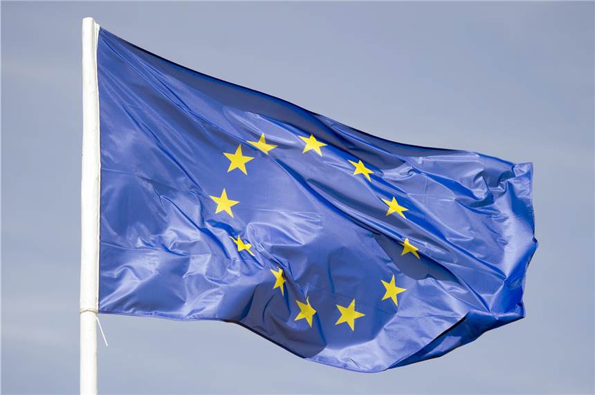 Wann wurde Dorsten die Europaflagge verliehen? Das ist eine von zehn Fragen in unserem Quiz.