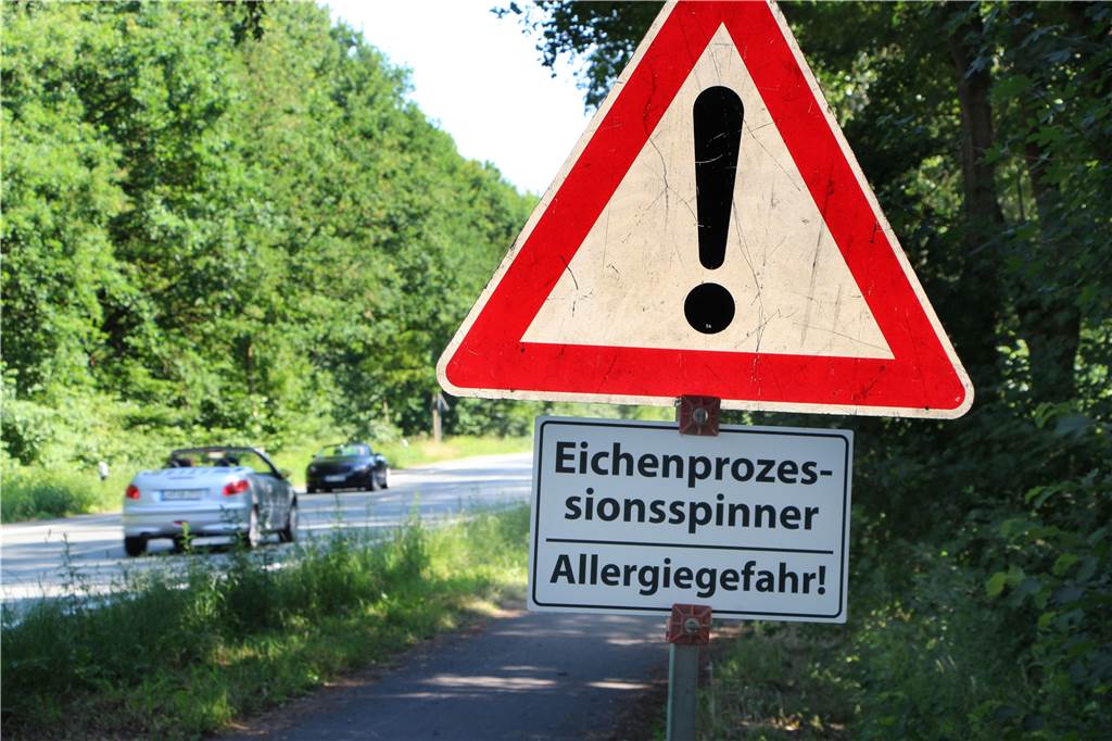 Gift-Raupen: Kaum Nachfrage an Salben gegen Juckreiz in Werner Apotheken Warnschilder zeigen, wo sich die Plage-Raupen befinden und welche Bereiche im Sommer lieber gemieden werden sollten.