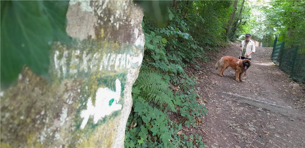 Warum in die Ferne schweifen, wenn es auch ganz in der Nähe schöne Urlaubsorte gibt: zum Beispiel das 70 Kilometer entfernte Tecklenburg, eine Kleinstadt im nördlichen Münsterland. Der 4,5 Kilometer lange Hexenpfad ist ein spannender Rundwanderweg, vorbei an verwunschen wirkenden Felsformationen. Selbst Leonberger Snorri, der alles andere als eine Bergziege ist, gefiel es in der Kleinstadt mit dem historischen Stadtkern.